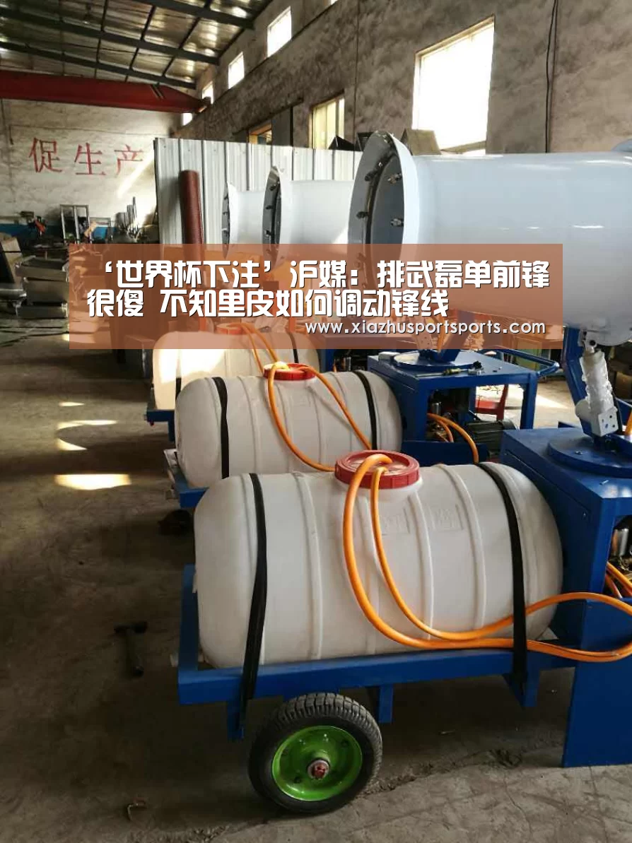 ‘世界杯下注’沪媒:排武磊单前锋很傻 不知里皮如何调动锋线(图2) 世界杯买球
